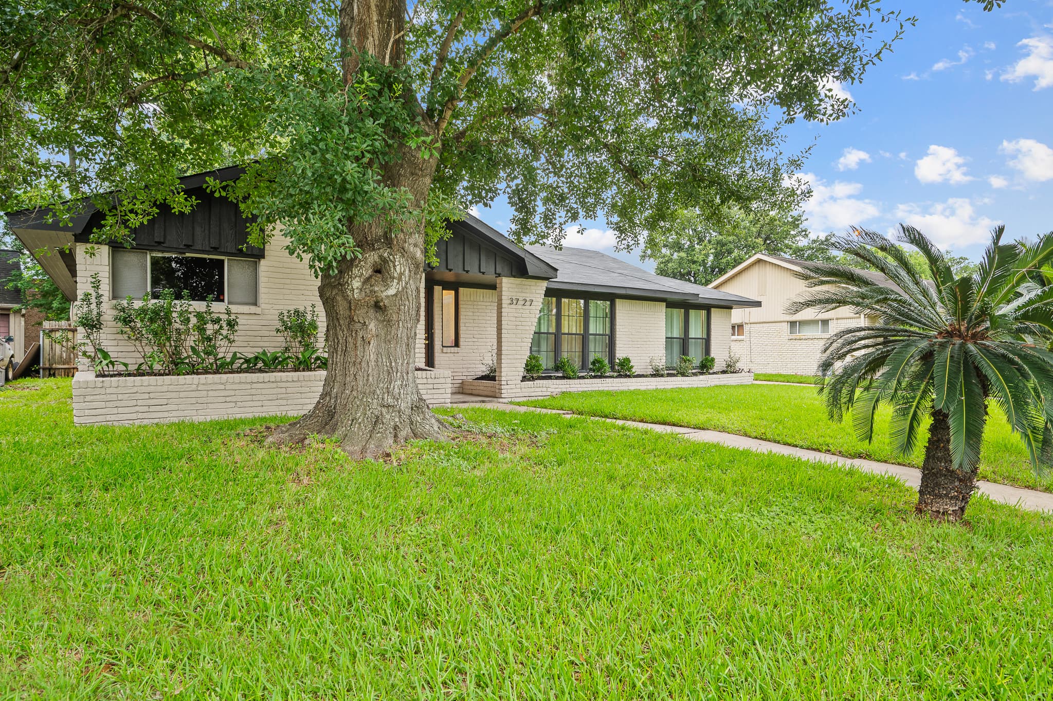 The house from the front lawn, under a live oak